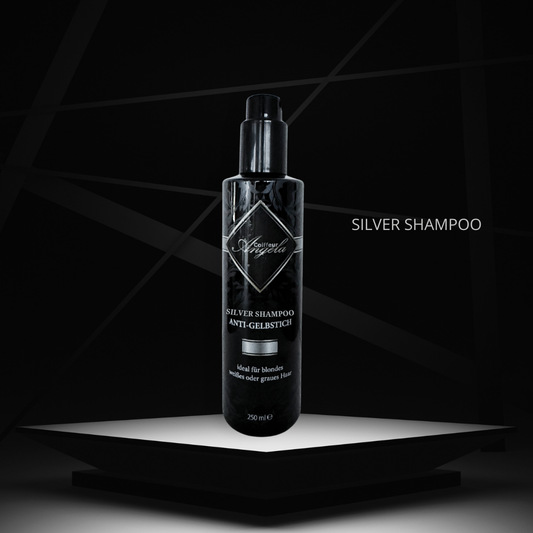 SILVER-SHAMPOO – ANTI-GELBSTICH